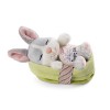 NICI- Lapin en Peluche Sleeping Pets à Caramel dans Un Panier pêche 12cm, 48708