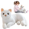 Chat En Peluche En Peluche Chat En Peluche Chats Qui Ressemblent À De Vrais Peluches En Peluche Chat En Peluche Chat En Peluc