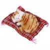 Chaton en Peluche Jouet, 1 Pcs Super Mignon Mini Simulation Sondage Chatons Endormis Chats en Peluche Jouets Poupée Cadeau De