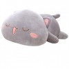 Bonilaan Oreiller en Peluche Chat Mignon de 50 cm, Chat endormi étreignant des Animaux en Peluche en Peluche Doux Oreiller An