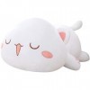 Oreiller en Peluche Chat Mignon de 50 cm, Chat endormi étreignant des Animaux en Peluche en Peluche Doux Oreiller Anime Chat 