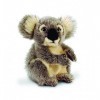 Keel Toys - 64898 - Peluche - Koala - Assis - 20 cm