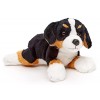 Uni-Toys - Bouvier Bernois Plushie sans Laisse - 21 cm Longueur - Chien en Peluche, Animal de Compagnie - Peluche, Doudou