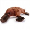 Doudou ornithologique en peluche Platypus