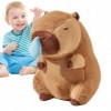 TROONZ Peluche Capybara - Peluches Capybara Douces Oreiller d’Animaux en Peluche Mignons,Poupée Animale de Dessin animé exqui