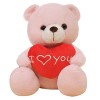 Ours en Peluche pour la Saint-Valentin avec Cœur, Je taime Ours en Peluche avec Cœur I Love You, Ours en Peluche de Saint-