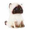 NIDONE Peluche Chat poupée Jouet réaliste Peluche Chat Peluches à la Main réaliste Peluche Chaton poupée Chat Jouets en Peluc