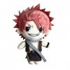 Fairy Tail Poupées en peluche Natsu Dragneel Accessoires en peluche Personnage animé Figurine remplie à collectionner Décorat