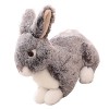 ERINGOGO Lapin en Peluche Décorations De Lapin De Pâques Décoration De Pâques Printemps Ornements Danimaux De Pâques Poupée e