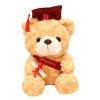 ERINGOGO Poupée Dr Ours Poupée Cadeau De Nouvel an Jouet Cadeau De Qualité Ours De Fin Détudes Collégiales Ours De Graduatio