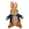 Peter Rabbit Peter Lapin et amis - 22 cm - En peluche - Avec lapin - 2021