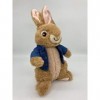 Peter Rabbit Peter Lapin et amis - 22 cm - En peluche - Avec lapin - 2021