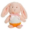 Jouet De Lapin Lavable, Peluches De Lapin Mignonnes, Jouets De Lapin Moelleux, Peluche De Lapin à Câliner, Lapin En Peluche D