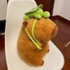 itrimaka Capybara Peluche Jouet, Mignon Capybara Peluche Animal, Réaliste Mignon Peluche Capybara Plushie Home Decor Soft Toy