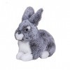 LAARNT 25cm Jouet en Peluche de Lapin réaliste pour Enfants，Poupée en Peluche en Lapin Gris Mignon，Oreiller et Coussins en Pe