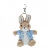 Beatrix Potter Soft Toys Porte-clés Pierre Lapin, Multicolore, height 12cm, Personnages