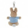 Beatrix Potter Soft Toys Porte-clés Pierre Lapin, Multicolore, height 12cm, Personnages