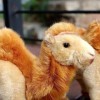 Peluche De Chameau, Poupée En Peluche De Chameau En Peluche, Peluches De Chameau Pour Enfantts, Peluches Danimaux Du Désert 