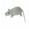 Ikea Peluche Doudou Rat Souris Grise - Gosig Ratta L 22 cm