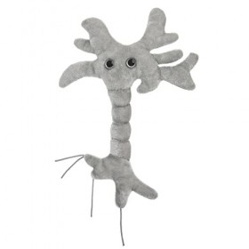 Cellule du cerveau en peluche GIANTmicrobes – Découvrez les neurosciences grâce à cet irrésistible neurone en peluche, cadeau