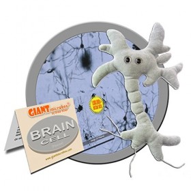 Cellule du cerveau en peluche GIANTmicrobes – Découvrez les neurosciences grâce à cet irrésistible neurone en peluche, cadeau