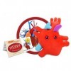 Giantmicrobes Porte-clés en forme de microbe géant en peluche Cœur organe