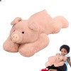 Wukesify Animal en Peluche lesté - Peluche lestée Mignonne,Oreiller Animal endormi Doux Amis en Peluche Finition soignée Ours