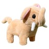 Dickly Pet Early Learning Animaux en Peluche pour Jouet pour 2+, Brun Clair