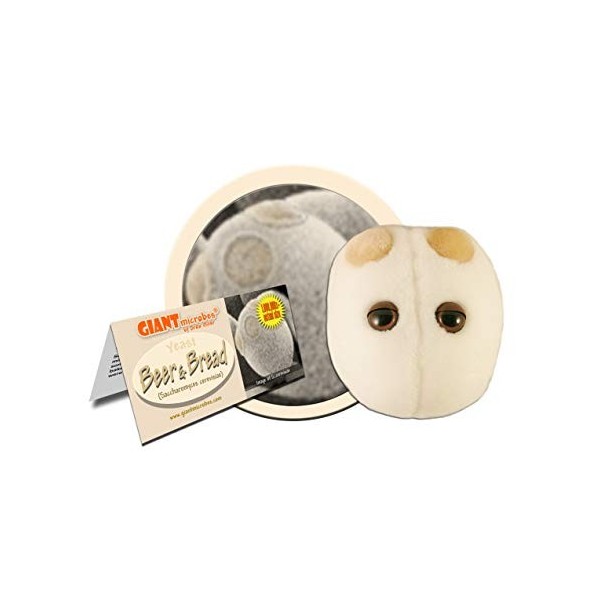 Peluche GIANTmicrobes Bière & pain – Découvrez la levure de boulanger, de bière et les champignons grâce à cette formidable p