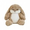 Animal en peluche de lapin | Animal de lapin moelleux | Lapin en peluche décoratif Super doux, détail réaliste, vif, mignon, 