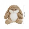 Animal en peluche de lapin | Animal de lapin moelleux | Lapin en peluche décoratif Super doux, détail réaliste, vif, mignon, 