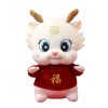 HEIBTENY Petite Peluche Dragon Blanc 25 Cm Dragon Peluche 2024 Nouvel An Peluche Mascotte Dragon Rouge Mignon Animal Peluche 