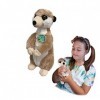 EcoBuddiez - Suricate de Deluxebase. Peluche Douce Moyenne de 22cm Faite de Bouteilles en Plastique Recyclées. Cadeau Calin é