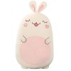 BYNYXI Oreiller en Peluche Husky, 45cm Mignon Husky étreignant Oreiller Cochon Pingouin Animal en Peluche Kawaii Animal Jeter