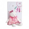 Doudou et Compagnie - Doudou Attrape-Rêves - Chat - Boite Cadeau - Rose - 20 Cm - Doux - Idée de Cadeau Naissance Fille - Gar