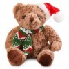 CBOSNF Ours en Peluche,20cm Poupée ours de Noël,Dessin animé Mignon Cadeaux,Plush Bear Oreiller Poupées Coussin Décoratif pou