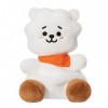 Aurora World- Aurora, 61505, BT21 RJ Palm Pal, 13cm, Peluche écologique, Blanc, White