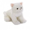 Venturelli Exotic Shorthair Kitten Ngs Peluche Chats, Multicolore, 8004332706724