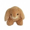 Histoire dOurs - Peluche lapin - Blanc ou marron ou beige - HO3000 - Modèle aléatoire