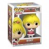 Funko Pop! Animation: Hunter X Hunter - HxH - Bisky Krueger - Hunter X Hunter HXH - Figurine en Vinyle à Collectionner - Id