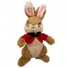 Peter Rabbit 2 - Peter Lapin et amis - Peluche lapin - 22 cm - Peluche originale lapin - Film cinéma 2021 - Un lapin qui se t