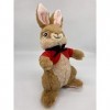 Peter Rabbit 2 - Peter Lapin et amis - Peluche lapin - 22 cm - Peluche originale lapin - Film cinéma 2021 - Un lapin qui se t