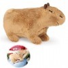Cutogain Jouet en peluche Capybara de 30 cm, poupée mignonne en forme de cochon dInde, peluche réaliste, poupée mignonne en 