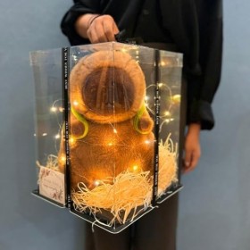 KXXK Jouet en Peluche Capybara De Dessin Animé | Cadeaux en Peluche pour Les Amateurs De Capybara | Mini Poupée en Peluche Ca