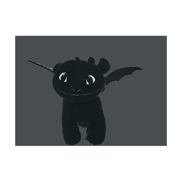 Comment Entraîner Votre Dragon Peluche sans Dent Dark, 32cm, Glow