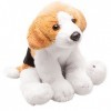 Suki Gifts- Yomiko Sitting Beagle Peluche, 12004E