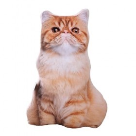 F Fityle Oreiller en Peluche Animaux pour Enfants, Jouets daccompagnement, Animaux en Peluche, Oreiller pour Chambre à Couch