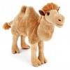 Zappi Co Peluche pour Enfant Camel Bactrien en Peluche 25 cm 