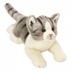 Suki Gifts- Yomiko Tabby Cat Peluche, 12074, Gris/Blanc