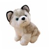 Toyvian Jouets pour Enfants Ensemble De Jeu pour Enfants Rayan Jouets pour Enfants Kidtoy Peluche Cadeau Chien Huskie Peluche